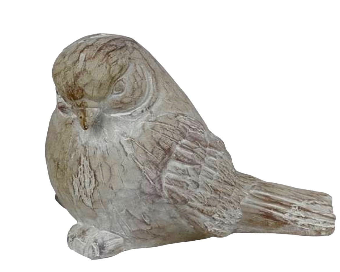 PAJARO