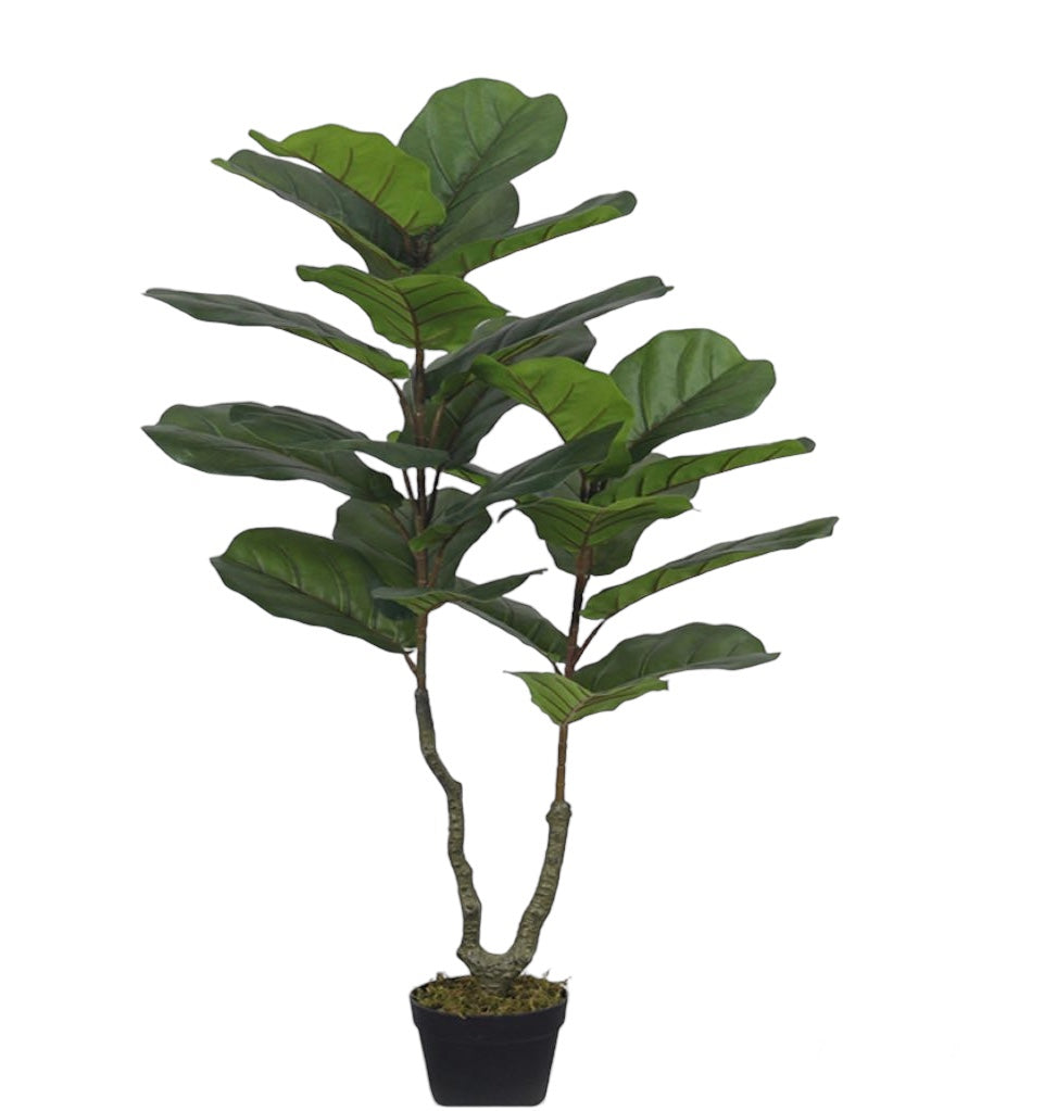 PLANTA