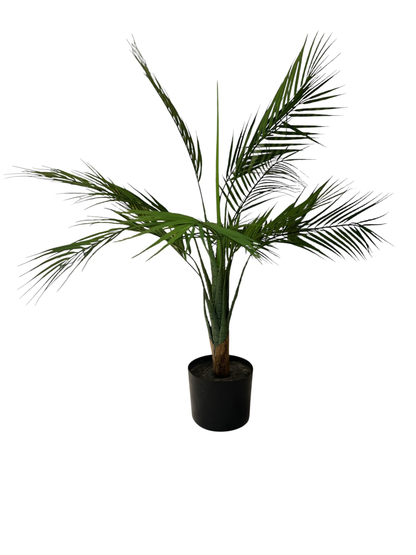 PLANTA
