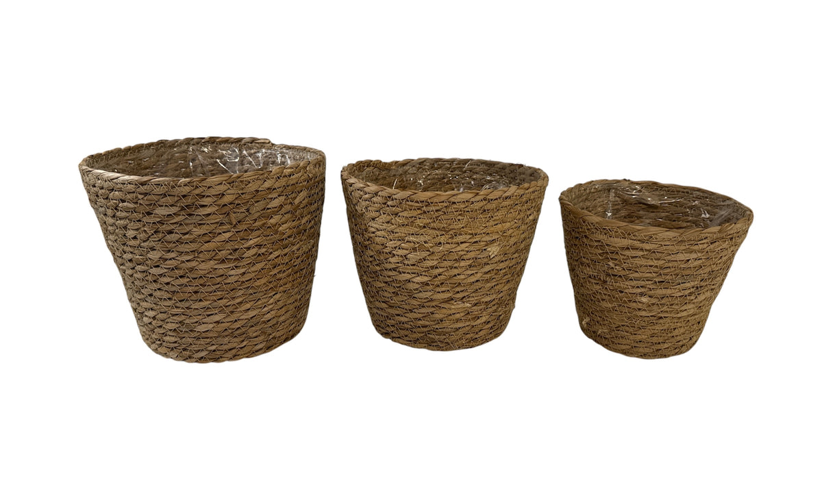 SET CANASTOS